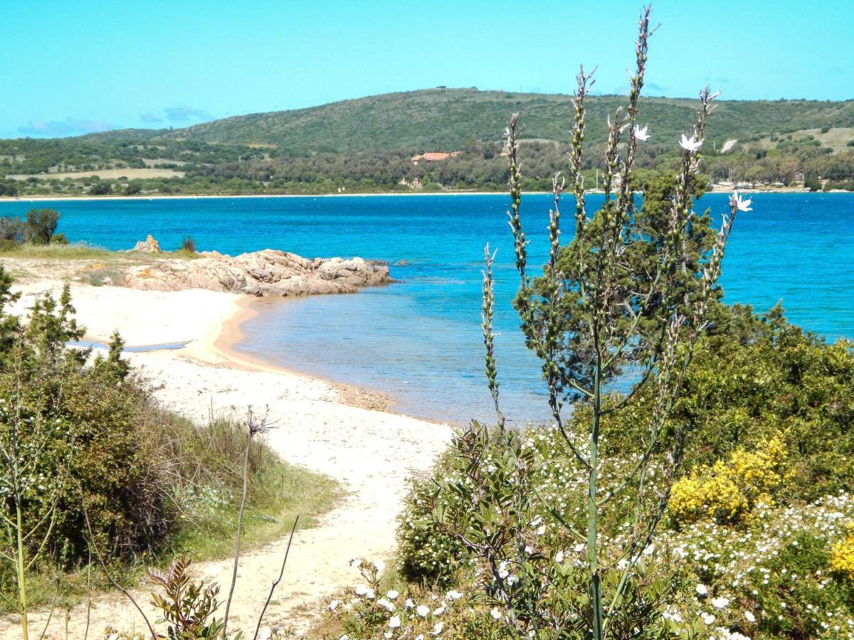 Apartment La Costa Mare Arzachena